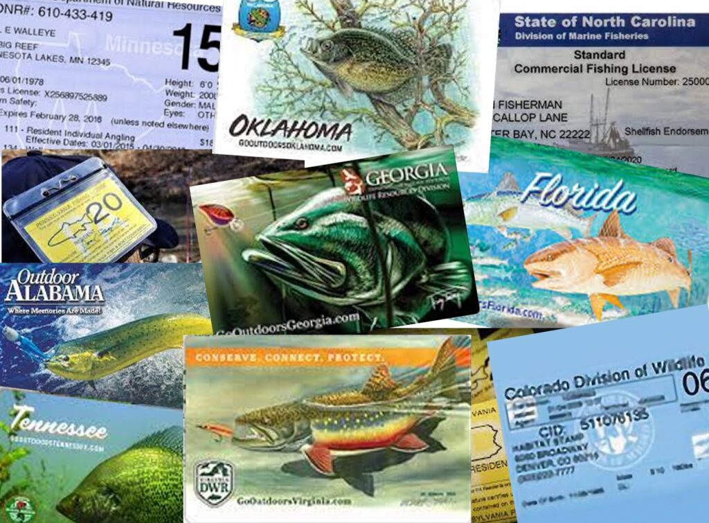 Fishing License cost