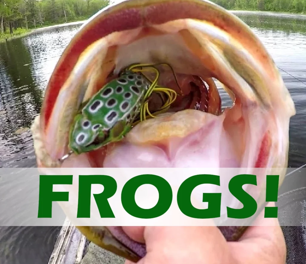 Soft Plastic Frogs, Best Bass Baits, Top Water Tips and Tricks