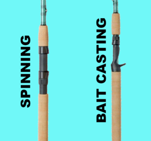 Spinning Rod vs Bait Casting Rod