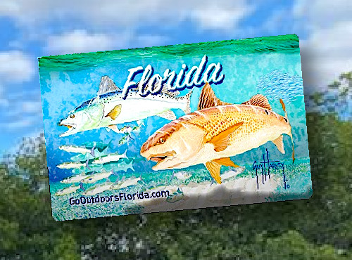 Florida Fishing License Card